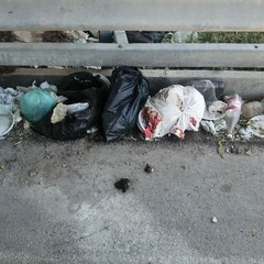 Piazzole di sosta degradate a discariche abusive
