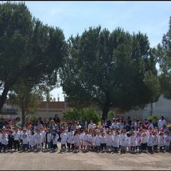 Festa della natura al 3° Circolo Didattico "Riccardo Cotugno"