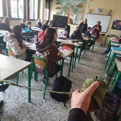 Scuola Manzoni