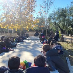 Scuole al Borgo