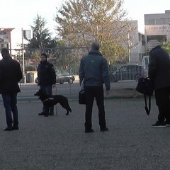 controlli antidroga anche per le scuole di Andria