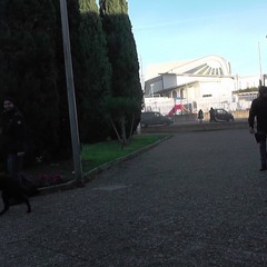 controlli antidroga anche per le scuole di Andria