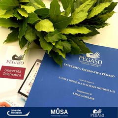 Seduta di Laurea in Sede MUSA