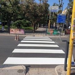 segnaletica orizzontale ad Andria