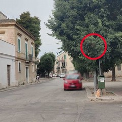 Segnale stradale di divieto di accesso a via Bruno Buozzi