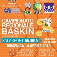 Locandina torneo regionale Baskin