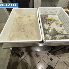Sequestrati oltre 100 kg di pescato irregolare a Barletta e Andria