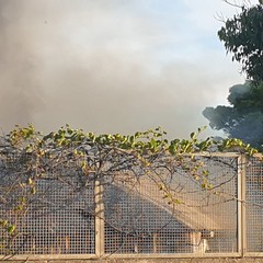 A fuoco capannone in via Vecchia Spinazzola