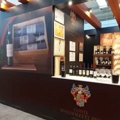 Azienda Agricola "Conte Spagnoletti - Zeuli"
