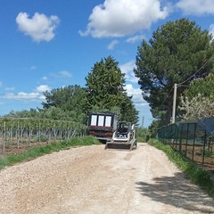 impresa di Andria ha sistemato la malridotta strada