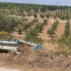 StradeAgri