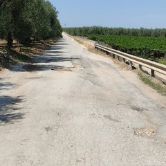 StradeAgri