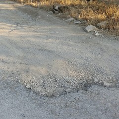 StradeAgri