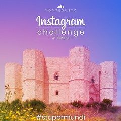 stupor mundi