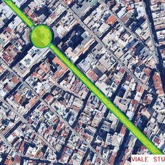 Nuovi alberi in viale Don Luigi Sturzo