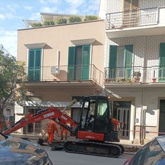 Nuovi alberi in viale Don Luigi Sturzo