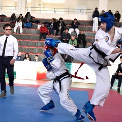 Taekwondo, buone affermazioni per gli atleti andriesi