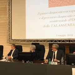 Nasce in Puglia una rete sanitaria per la talassemia