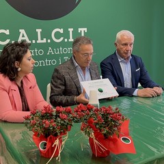 targa psiconcologa calcit nel reparto di ematologia dimiccoli barletta JPG