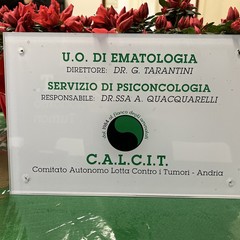 targa psiconcologa calcit nel reparto di ematologia dimiccoli barletta JPG