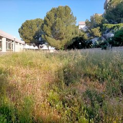 Associazione "Compagni di Viaggio": "Andria non è solo la zona PIP"