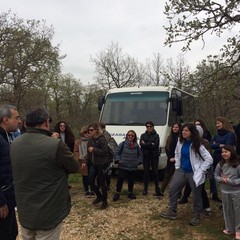 terre di castel del monte e aprile