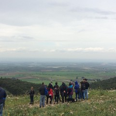 terre di castel del monte e aprile