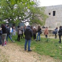 terre di castel del monte e aprile
