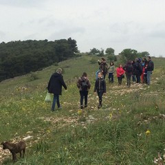terre di castel del monte e aprile