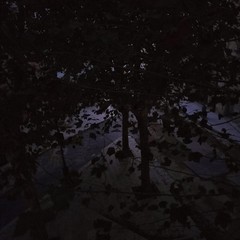 Illuminazione pubblica da 48 ore spenta nella zona di piazza Toniolo