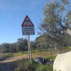 Strada provinciale 43 invasa dai rifiuti e piena di buche