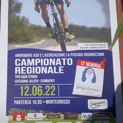 Trofeo Costa del Sud locandina