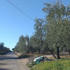 Strada provinciale 43 invasa dai rifiuti e piena di buche
