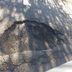 Strada provinciale 43 invasa dai rifiuti e piena di buche