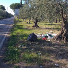 Strada provinciale 43 invasa dai rifiuti e piena di buche