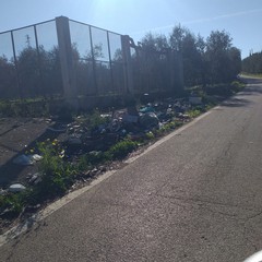 Strada provinciale 43 invasa dai rifiuti e piena di buche