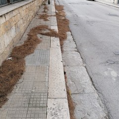 Manca la raccolta del fogliame ed i residenti fanno da sè