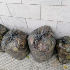 Manca la raccolta del fogliame ed i residenti fanno da sè