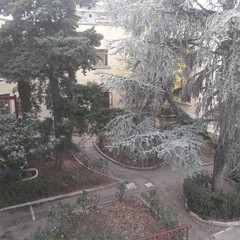 Scuola media "P.N. Vaccina"