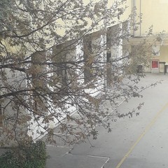 Scuola media "P.N. Vaccina"