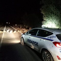 Pietre sulla strada per depredare una stazione di servizio