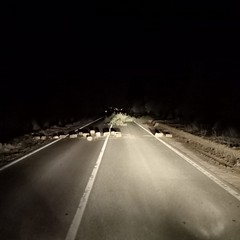Pietre sulla strada per depredare una stazione di servizio