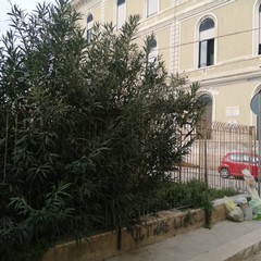 Via Eritrea Andria ex bagno pubblico