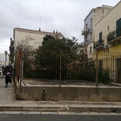 Via Eritrea Andria