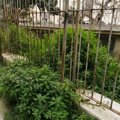 Via Eritrea stato del luogo ex bagno pubblico