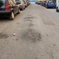 Interventi di manutenzione del verde su via Martiri di Bologna