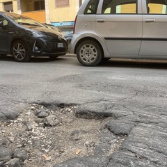Interventi di manutenzione del verde su via Martiri di Bologna