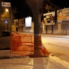 Viale Virgilio