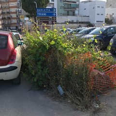 pericolo su via Murge, davanti alla scuola "Rodari"