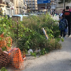 pericolo su via Murge, davanti alla scuola "Rodari"